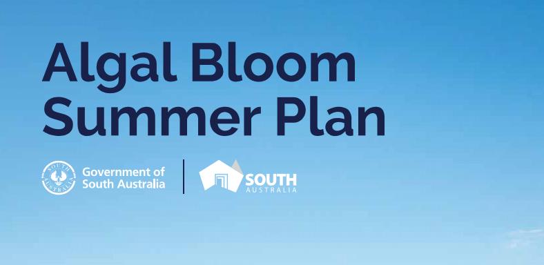 Algal-Bloom-Summer-Plan Page 01 Snapshot 02
